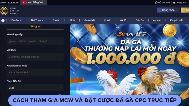 Cách tham gia MCW và đặt cược đá gà cpc trực tiếp