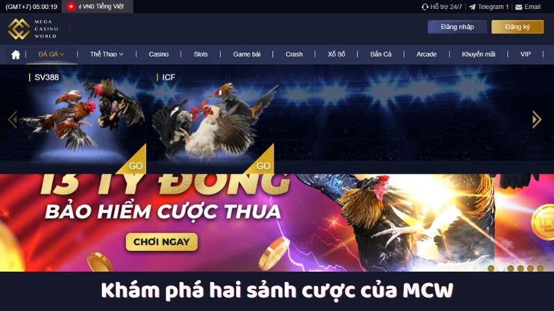 Khám phá hai sảnh cược của MCW