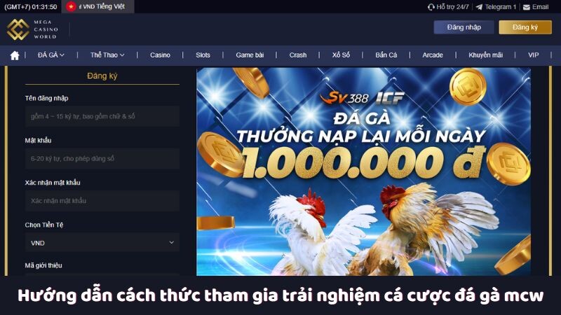 Hướng dẫn cách thức tham gia trải nghiệm cá cược đá gà mcw