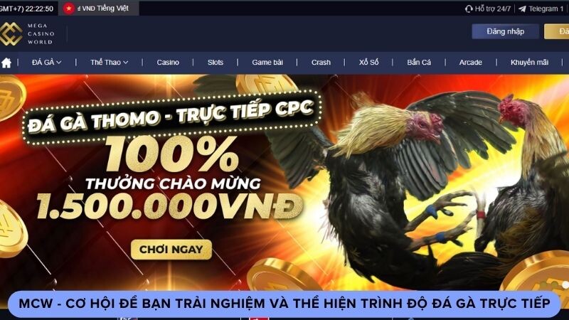 Đánh giá về nhà cái MCW